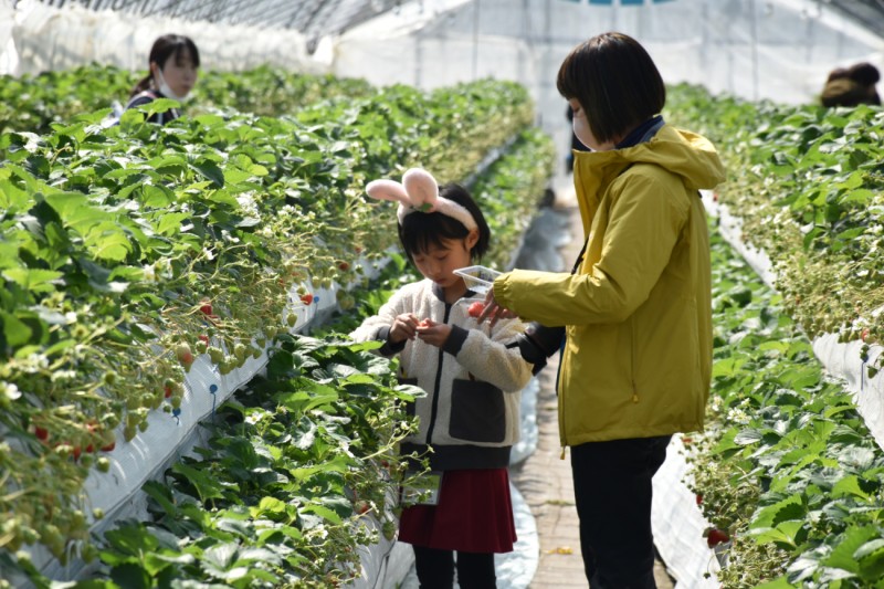 2025年開催時の様子